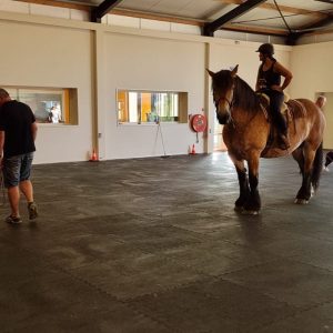rubbervloer geschikt voor zowel paarden als honden