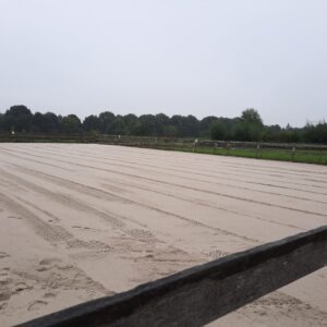 paddock-after-ecoraster-voor-paard-bosrubber