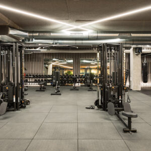 Bos Rubber Extreme Impact Grijs 43mm bij Vondel Gym Rotterdam in de fitnesszaal.