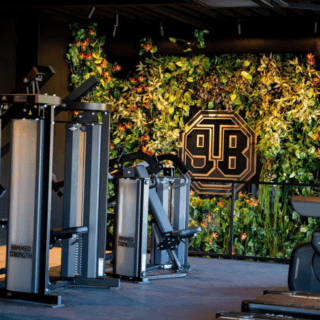 Bos Ultra Interlock 15mm bij Ninet8Gym